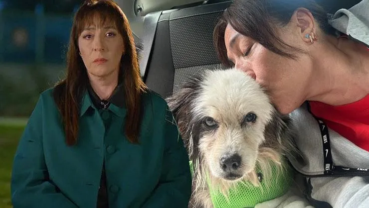 Binnur Kaya'yı yasa boğan kayıp: 18 yıllık can dostu vefat etti