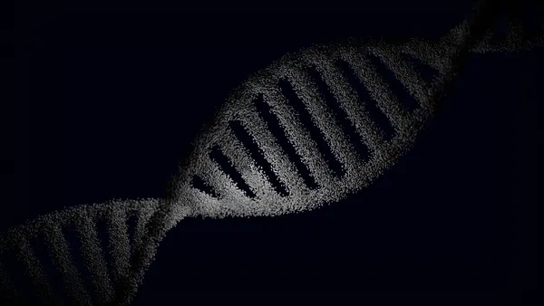Ozempic Benzeri İlaçlarda Saç Dökülmesi: Genetik Bir Bağlantı mı?